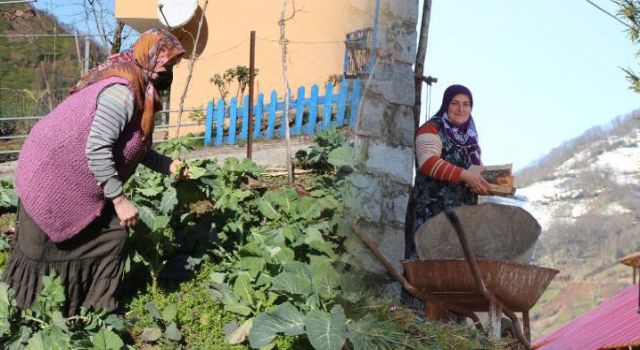 Ardeşen köylerinde kısıtlama hareketliliği