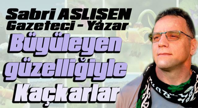 Sabri Aslışen'in Kaleminden " KAÇKARLAR"