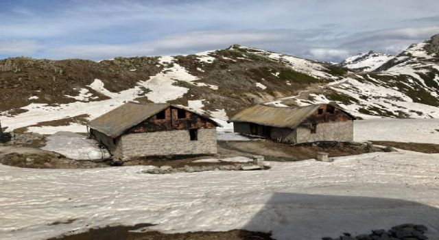 Ardeşen'de 6 Yayla Evinin Yakıldığı İddiasıyla İlgili Soruşturma Başlatıldı