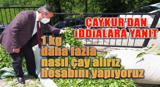 ÇAYKUR: ''1kg fazla çay nasıl alırız hesabını yapıyoruz''