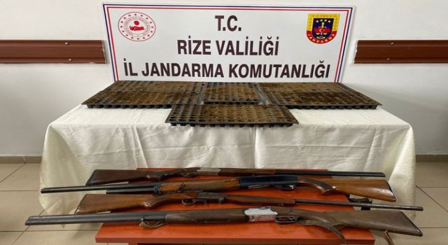 Rize'de 624 Kök Hint Keneviri Ele Geçirildi