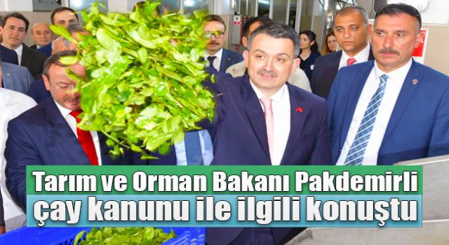 Bakan Pakdemirli çay kanunu sorusuna cevap verdi!..