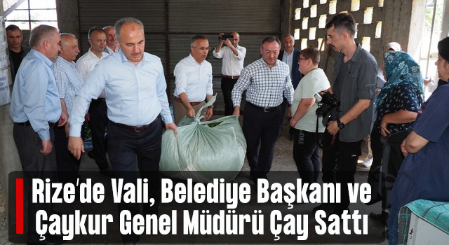 Rize'de Vali Çeber, Belediye Başkanı Metin ve Genel Müdür Alim, Yaş Çay Alımı Yaptı