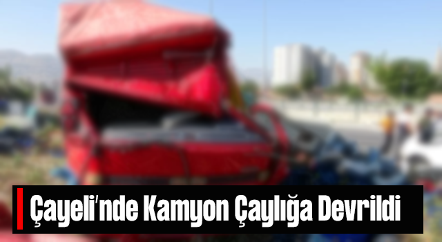 Rize'de Kamyon Çay Bahçesine Devrildi