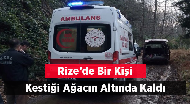 Rize'de Bir Kişi Kestiği Ağacın Altında Kaldı