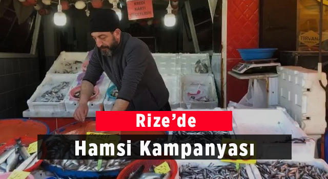 Rize’de Hamsi Kampanyası