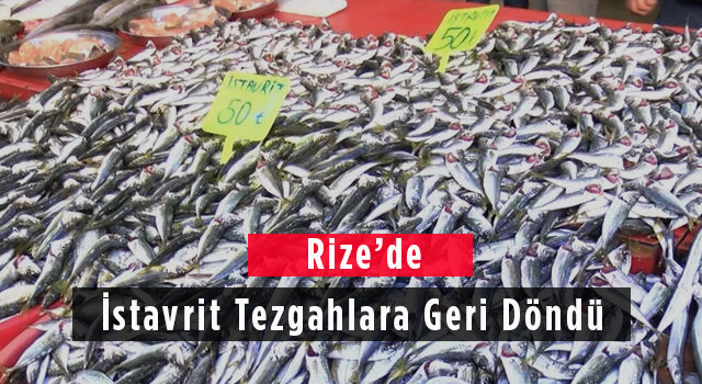 Rize’de İstavrit Tezgahlara Geri Döndü