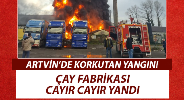 Artvin'de ÇAYKUR Fabrikası’nda Yangın