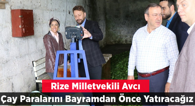 Milletvekili Avcı: Mayıs Ayı Çay Parasını Bayramdan Önce Ödeyeceğiz