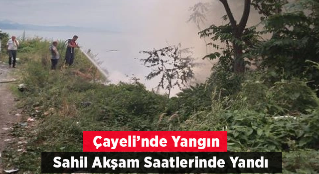 Çalılık alanda yangın çıktı