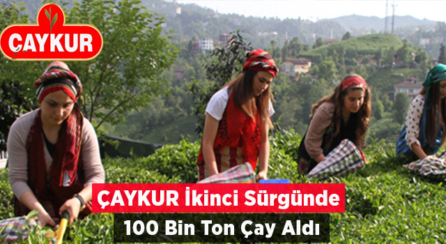 ÇAYKUR, 2. Sürgünde 100 Bin Ton Çay Aldı