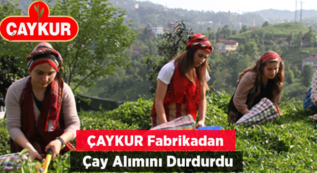 ÇAYKUR, Fabrikalardan 24 Saat Yaş Çay Alımını Durdurdu