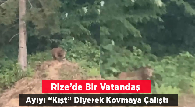 Önüne Çıkan Ayıyı ‘kışt’ Diyerek Kovmaya Çalıştı