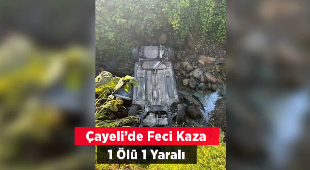 Otomobil Köprüden Düştü: 1 Ölü, 1 Yaralı