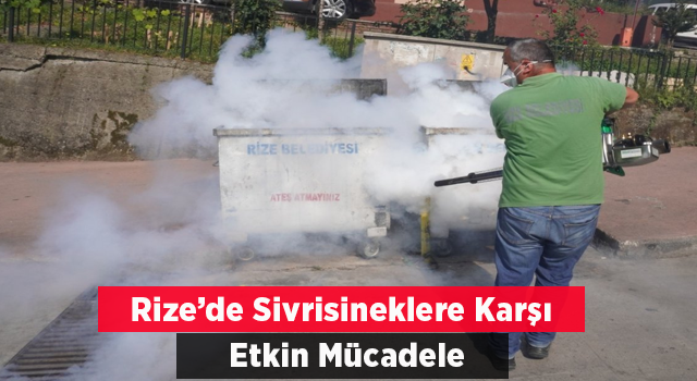 Rize'de sivrisineklere karşı etkin mücadele yapılıyor