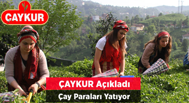 ÇAYKUR Organik Farkları ile Temmuz Ayı Çay Paralarını 31 Ağustos'ta Ödeyecek