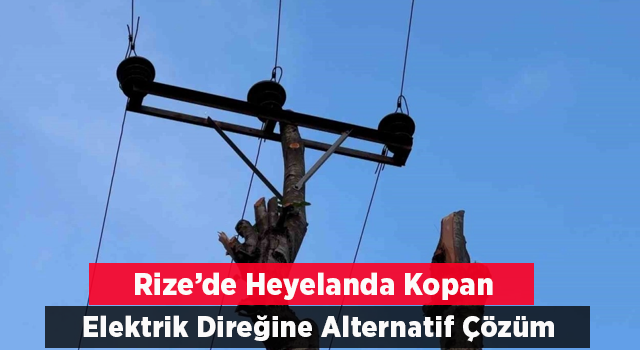 Rize’de kopan elektrik direğinin yerini ağaç aldı