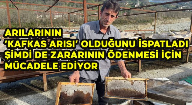 Arılarının ’Kafkas Arısı’ Olduğunu İspatladı Şimdi de Zararının Ödenmesi İçin Mücadele Ediyor