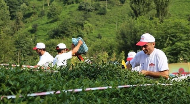 ÇAYKUR, Yarın İkramiye Ödemelerini İşçilerin Hesaplarına Aktaracak