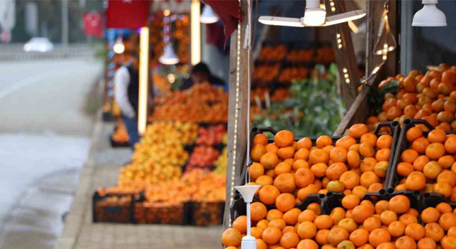 Derepazarı Mandalinasında Hasat İyi, Satışlar Kötü