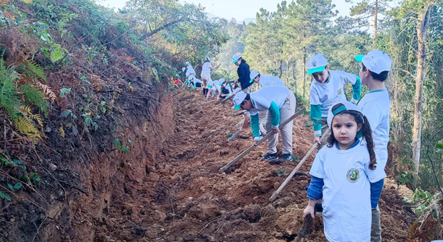 Doğu Karadeniz’in 625 bin hektarlık ormanına 3 milyon ağaç takviyesi