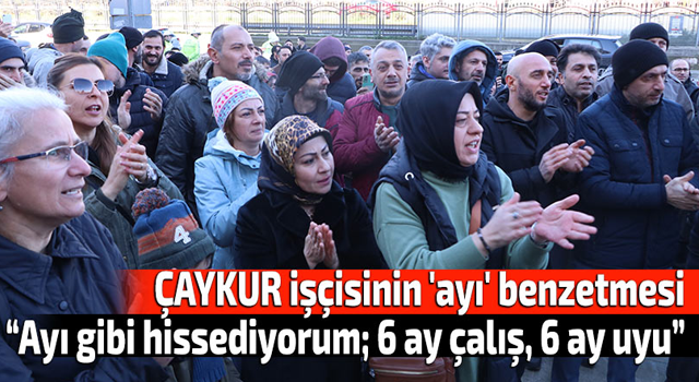 ÇAYKUR mevsimlik işçisinden 'ayı' benzetmesi