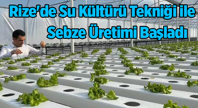 Rize'de Su Kültürü Tekniği ile Sebze Üretimi Başladı