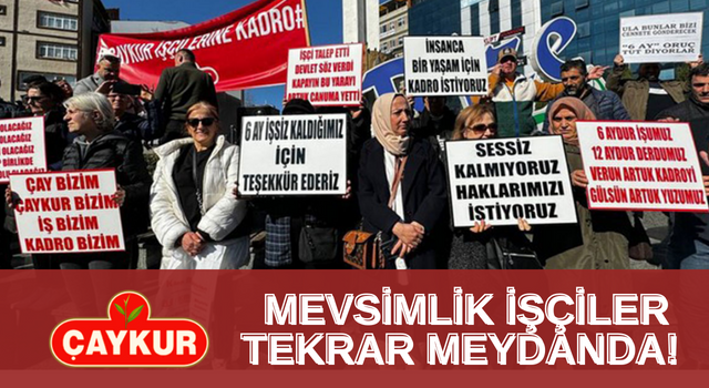 ÇAYKUR Mevsimlik İşçileri Tekrar Meydanda!