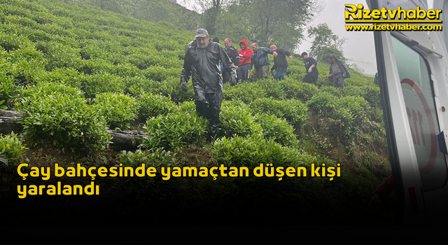 Çay bahçesinde yamaçtan düşen kişi yaralandı