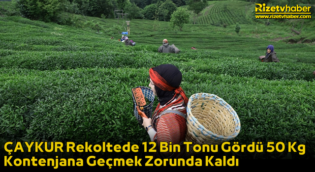 ÇAYKUR Rekoltede 12 Bin Tonu Gördü 50 Kg Kontenjana Geçmek Zorunda Kaldı