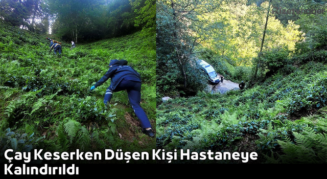 Rize’de Çay Keserken Düşen Kişi Hastaneye Kalındırıldı