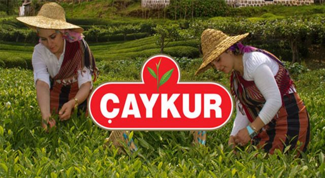 ÇAYKUR 2. Sürgün Yaş Çay Alımlarına Başlıyor!