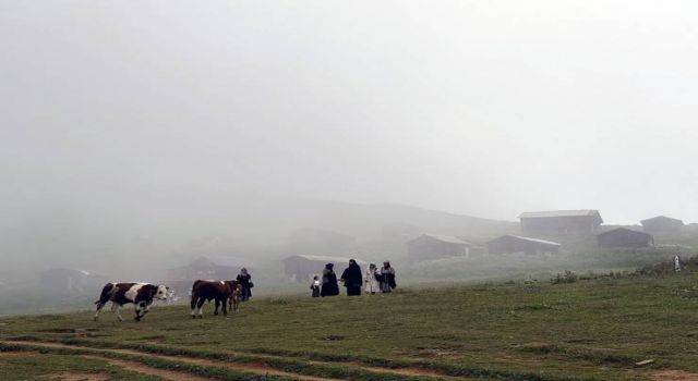 Kaçkar yaylalarında "Çöp torbası cebinde, doğa dostun elinde" seferberliği