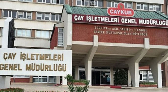 Rize'de hayali budama olayı: ÇAYKUR 600 üreticinin cüzdanını iptal etti