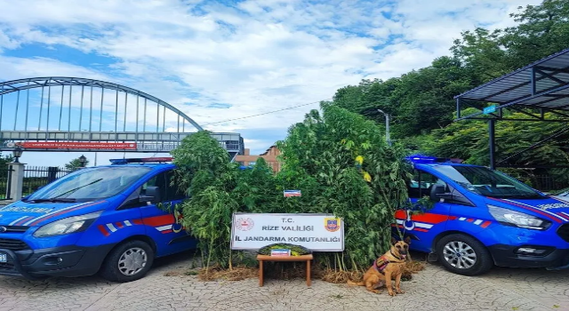 Rize’de jandarma temmuz ayını boş geçmedi!