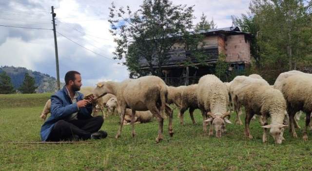 Kaymakam olacaktı çoban oldu