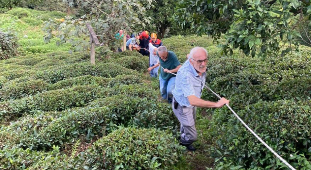 Rize'de ilkel teleferikten düşen kadın yaralandı