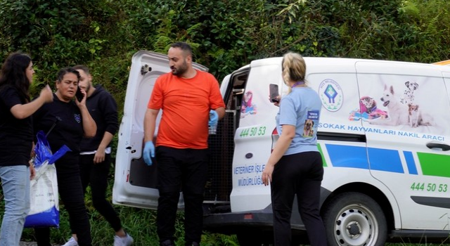 Rize'de Saldırgan Sokak Hayvanlarına Karşı Hayvansever Dernekleri ile Ortak Mücadele Başlatıldı