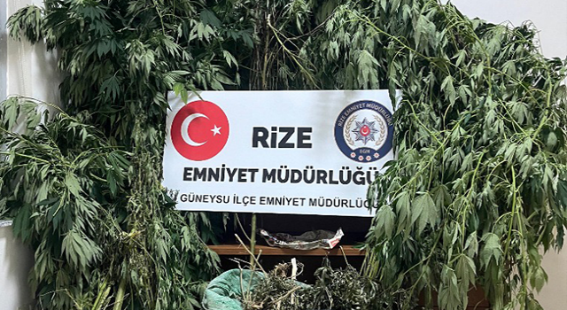 Rize'de Uyuşturucu Operasyonu