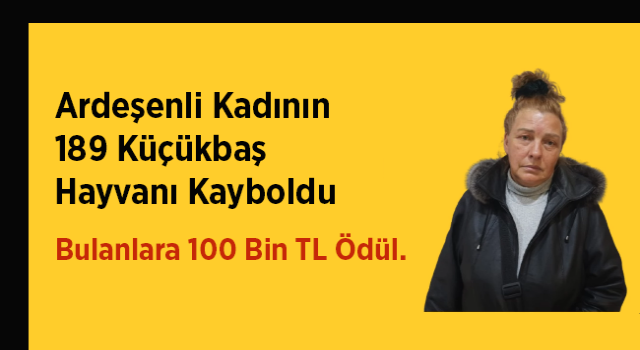 Ardeşen’de 189 Küçükbaş Hayvan Kayboldu, Sahibi 100 Bin TL Ödül Vaat Etti