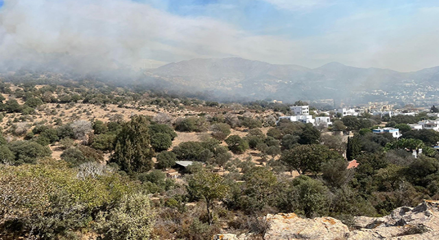 Bodrum’da maki yangını, 5 hektar alan zarar gördü