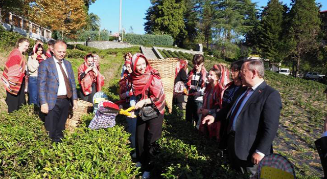 Makedonyalı Türk Gençler ÇAYKUR'un konuğu oldu