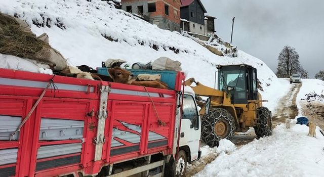 Rize’de yaylada hayvanları ile mahsur kalan 6 kişi kurtarıldı