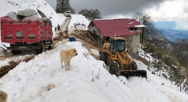 Rize’de yaylada küçükbaş ve büyükbaş hayvanları ile mahsur kalan 6 kişi kurtarıldı