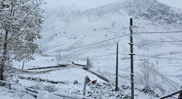 Rize'nin yüksek kesimli yaylalarında kar yağışı etkili oluyor