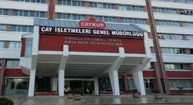 ÇAYKUR, Organik Çay Üreticilerine İkinci Taksiti Ödüyor