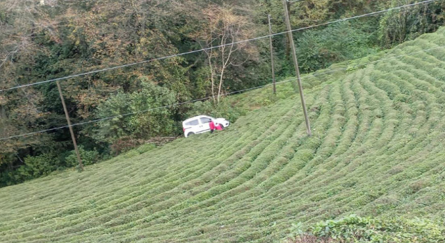 Rize'de araç çay bahçesine yuvarlandı