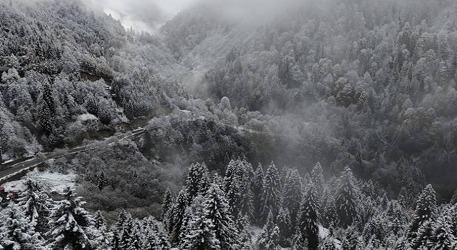 Rize'nin yüksek kesimlerine kar yağdı