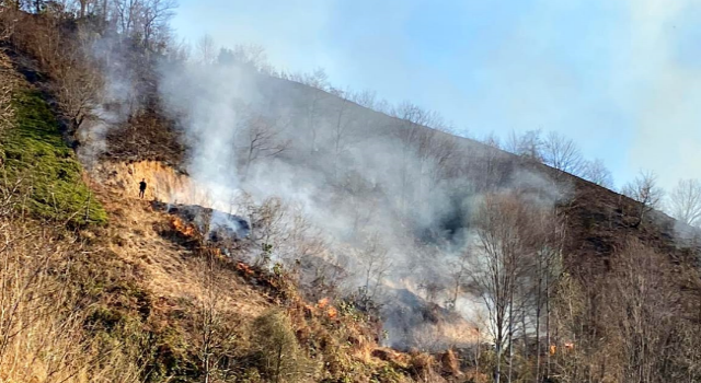 Rize'de anız yangını ormana sıçradı; 15 dönüm alan zarar gördü