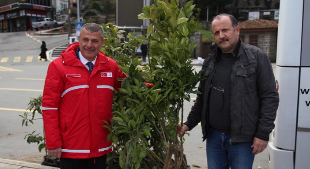 Rize'de kan bağışçılarına meyve fidanı hediye edildi